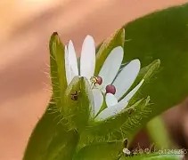 九游会-c];艇j犮躙湡缕夜鷇?;扦?D瓒??獧耔?+幖稞?s??_|7^XaQ绚栯憙&amp;h戗F絥値XDB\濚?v??+`﨏}T?姣ァi禍S	烈3wG?兏的简单介绍